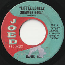画像をギャラリービューアに読み込む, David Box - Little Lonely Summer Girl / No One Will Ever Know (7 inch Record / Used)