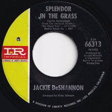 Load image into Gallery viewer, Jackie DeShannon - The Weight / Splendor In The Grass (7 inch Record / Used)