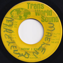 Load image into Gallery viewer, Mandells - Don't Turn Your Back On Me / Now I Know (I Love You) (7 inch Record / Used)