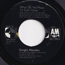 Load image into Gallery viewer, Sergio Mendes - What Do We Mean To Each Other / Flower Of Bahia (Flor Da Bahia) (7 inch Record / Used)