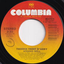 画像をギャラリービューアに読み込む, Terence Trent D'Arby - Wishing Well / Elevators & Hearts (7 inch Record / Used)