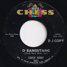 画像をギャラリービューアに読み込む, Chuck Berry - Nadine (Is It You?) / O Rangutang (7 inch Record / Used)