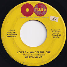 画像をギャラリービューアに読み込む, Marvin Gaye - You're A Wonderful One / When I'm Alone I Cry (7 inch Record / Used)