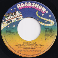 Load image into Gallery viewer, Enchantment - Anyway You Want It / Oasis Of Love (7 inch Record / Used)