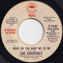 Load image into Gallery viewer, Lou Courtney - What Do You Want Me To Do (Mono) / (Stereo) (7 inch Record / Used)