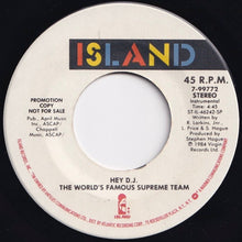 画像をギャラリービューアに読み込む, World's Famous Supreme Team - Hey D.J. / (Instrumental) (7 inch Record / Used)