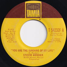 画像をギャラリービューアに読み込む, Stevie Wonder - You Are The Sunshine Of My Life / Tuesday Heartbreak (7 inch Record / Used)