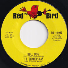 画像をギャラリービューアに読み込む, Shangri-Las - I Can Never Go Home Anymore / Bull Dog (7 inch Record / Used)