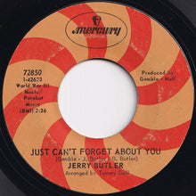 画像をギャラリービューアに読み込む, Jerry Butler - Hey, Western Union Man / Just Can't Forget About You (7 inch Record / Used)
