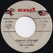 画像をギャラリービューアに読み込む, Chantels - Maybe / Come My Little Baby (7 inch Record / Used)
