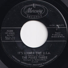 Load image into Gallery viewer, Pixies Three - It's Summer Time U.S.A. / The Hootch (7 inch Record / Used)