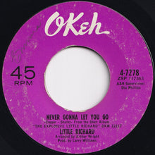 Load image into Gallery viewer, Little Richard - Don't Deceive Me (Please Don't Go) / Never Gonna Let You Go (7 inch Record / Used)