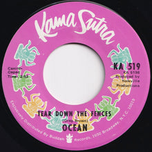 Load image into Gallery viewer, Ocean - Put Your Hand In The Hand / Tear Down The Fences (7 inch Record / Used)