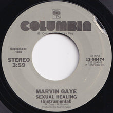 Load image into Gallery viewer, Marvin Gaye - Sexual Healing / (Instrumental) (7 inch Record / Used)