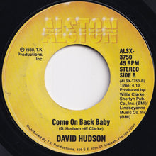 画像をギャラリービューアに読み込む, David Hudson - Honey, Honey / Come On Back Baby (7 inch Record / Used)