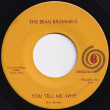Load image into Gallery viewer, Beau Brummels - You Tell Me Why / I Want You (7 inch Record / Used)