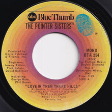 画像をギャラリービューアに読み込む, Pointer Sisters - Love In Them There Hills / Fairytale (7 inch Record / Used)