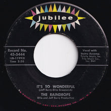 画像をギャラリービューアに読み込む, Raindrops - What A Guy / It's So Wonderful (7 inch Record / Used)