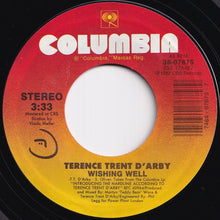 画像をギャラリービューアに読み込む, Terence Trent D'Arby - Wishing Well / Elevators & Hearts (7 inch Record / Used)