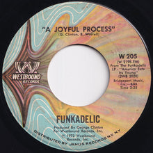 Load image into Gallery viewer, Funkadelic - Loose Booty / A Joyful Process (7 inch Record / Used)