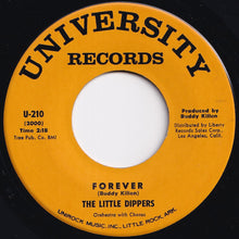 画像をギャラリービューアに読み込む, Little Dippers - Forever / Two By Four (7 inch Record / Used)
