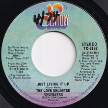 Load image into Gallery viewer, Love Unlimited Orchestra - Satin Soul / Just Living It Up (7 inch Record / Used)