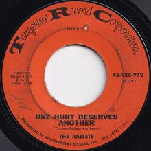 画像をギャラリービューアに読み込む, Raelets - One Room Paradise / One Hurt Deserves Another (7 inch Record / Used)