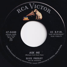 画像をギャラリービューアに読み込む, Elvis Presley - Ain't That Loving You Baby / Ask Me (7 inch Record / Used)