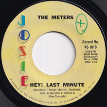 Load image into Gallery viewer, Meters - Chicken Strut / Hey! Last Minute (7 inch Record / Used)