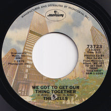 Load image into Gallery viewer, Dells - We Got To Get Our Thing Together / Reminiscing (7 inch Record / Used)