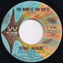画像をギャラリービューアに読み込む, Detroit Emeralds - You Want It, You Got It / Till You Decide To Come Home (7 inch Record / Used)