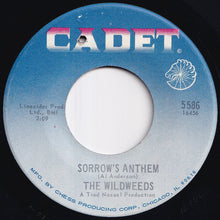 Load image into Gallery viewer, Wildweeds - It Was Fun (While It Lasted) / Sorrow's Anthem (7 inch Record / Used)