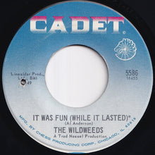 Load image into Gallery viewer, Wildweeds - It Was Fun (While It Lasted) / Sorrow's Anthem (7 inch Record / Used)