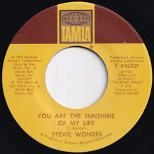 Load image into Gallery viewer, Stevie Wonder - You Are The Sunshine Of My Life / Tuesday Heartbreak (7 inch Record / Used)