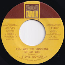 画像をギャラリービューアに読み込む, Stevie Wonder - You Are The Sunshine Of My Life / Tuesday Heartbreak (7 inch Record / Used)