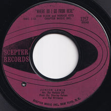 Load image into Gallery viewer, Junior Lewis - Raise Your Hand / Where Do I Go From Here (7 inch Record / Used)
