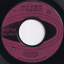 画像をギャラリービューアに読み込む, Junior Lewis - Raise Your Hand / Where Do I Go From Here (7 inch Record / Used)