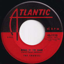 Load image into Gallery viewer, Cookies - Down By The River / My Lover (7 inch Record / Used)