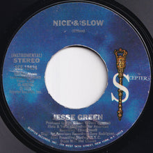 Load image into Gallery viewer, Jesse Green - Nice & Slow / (Instrumental) (7 inch Record / Used)