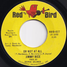 画像をギャラリービューアに読み込む, Jimmy Rice - Or Not At All / Nobody But You (7 inch Record / Used)