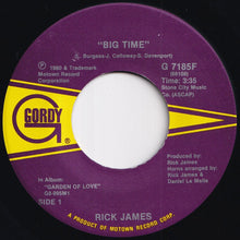 Load image into Gallery viewer, Rick James - Big Time / Island Lady (7 inch Record / Used)