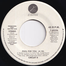 画像をギャラリービューアに読み込む, Circuit II - Fool For You / Fool For You (7 inch Record / Used)