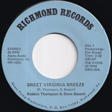 Load image into Gallery viewer, Robbin Thompson, Steve Bassett - Sweet Virginia Breeze / Virginia In The Springtime (7 inch Record / Used)
