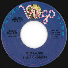 画像をギャラリービューアに読み込む, Raindrops - Kind Of Boy You Can't Forget / What A Guy (7 inch Record / Used)