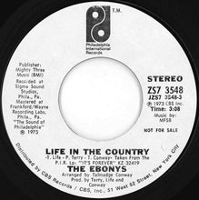 Load image into Gallery viewer, Ebonys - Life In The Country (Stereo) / (Mono) (7 inch Record / Used)