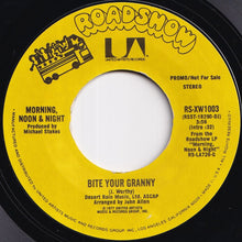 画像をギャラリービューアに読み込む, Morning, Noon & Night - Bite Your Granny / Bite Your Granny (7 inch Record / Used)