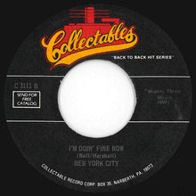 Load image into Gallery viewer, William DeVaughn / New York City - Be Thankful For What You Got / I'm Doin' Fine Now (7 inch Record / Used)
