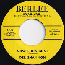 画像をギャラリービューアに読み込む, Del Shannon - Sue's Gotta Be Mine / Now She's Gone (7 inch Record / Used)