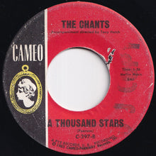 Load image into Gallery viewer, Chants - I Could Write A Book / A Thousand Stars (7 inch Record / Used)