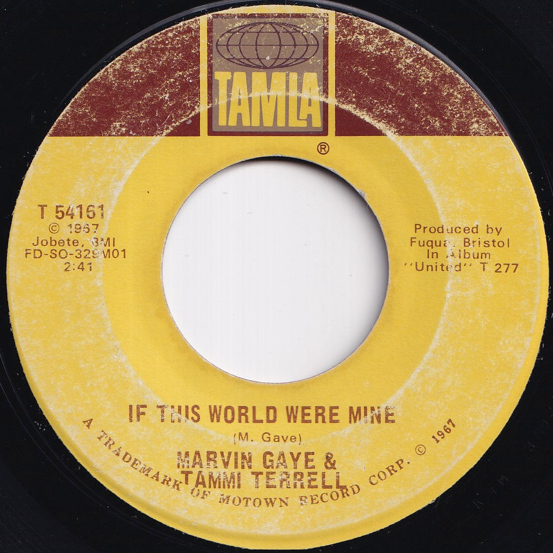 Marvin Gaye, Tammi Terrell - If I Could Build My Whole World